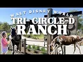 Tri-Circle-D Ranch Tour Where Walt Disney World Horses Live