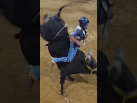 TORAZO EL VOLADOR DE PAPANTLA🐂🔥#jaripeo #shorts