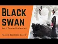 Download Lagu Ketidakpastian dari Teori Angsa Hitam | Black Swan