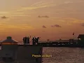 Ryan Castro - SENDÉ (Visualizer) | SENDÉ