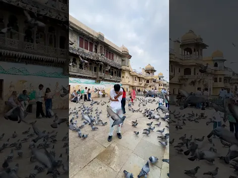 Udaipur😍
