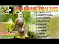Download Lagu Lah Manyuruak Tampak Juo ~ Lagu Minang Terbaru Dan Terpopuler 2022 Viral ~ Lagu Minang Enak Didengar