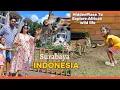 Explore African wild life experience in Indonesia BaoBab Resort Taman Safari Surabaya