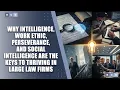 Intelligence Work Ethic Perseverance Social IQ Keys to Thriving in Large Law Firms
