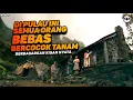 Download Lagu INI KISAH NYATA❗DI PULAU INI MEREKA BEBAS NGAPAIN AJA, TAPI ADA RESIKONYA..