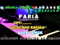 Lagu PARIA - NADI BARAKA | KARAOKE LIRIK NADA COWOK