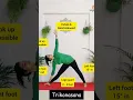 Lagu Trikonasana | Yogateach