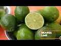 Bearss Lime