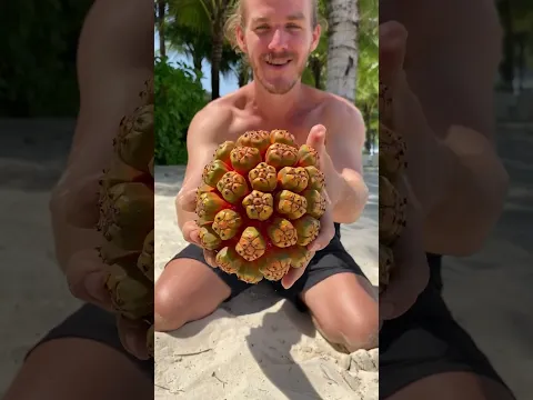 This Fruit Is an Absolute Masterpiece