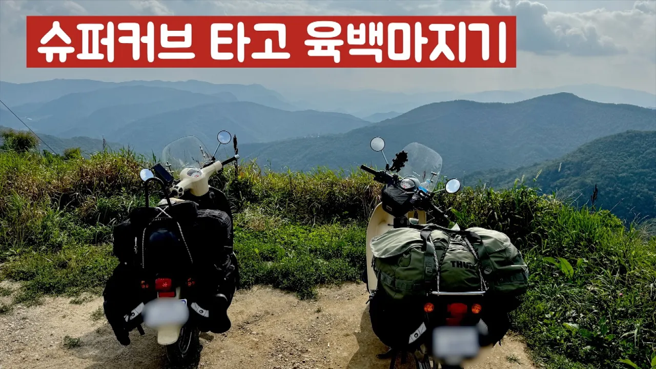 슈퍼커브 타고 육백마지기/슈퍼커브여행 #슈퍼커브 #슈퍼커브110 #슈퍼커브여행 #오토바이여행 #육백마지기 #시골피디 #supercub110 #supercub サムネイル