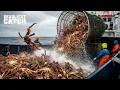 Inside the 3 Million King Crab Catch From Deadliest Seas to Luxury Tables Fishing Documentary