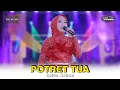 Download Lagu POTRET TUA - ANISA RAHMA - ZIO MUSIC LIVE Bolo Ujungpangkah Gresik
