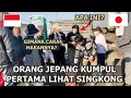 Lagu REAKSI ORANG JEPANG PERTAMA KALI LIHAT SINGKONG