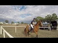 Download Lagu Rider 136 Claire Nitschke Riding TASSAS TABOO EvA 65 Naracoorte Horse Trials 2019