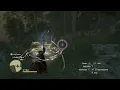 Dragon s Dogma - Fire Drake at Devilfire Grove Sorc