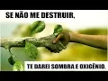 Download Lagu Como reduzir o desperdício de alimentos e economizar muito dinheiro