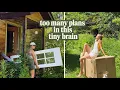 I m Building a Garden AND Renovating a Cabin at the Same Time