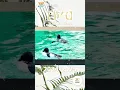 Download Lagu XINWEI｜Xiao Han ⛄️ Come n view XINWEI Thermal Ink