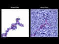 D lite visualization