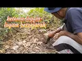 Download Lagu Temuan peluru bantet, tombak ikan dan duit-duit lama peninggalan Belanda⁉️