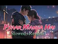 Download Lagu PYAAR MANGA HAI [Slowed+Reverb] | Armaan Malik, Neeti Mohan - Lofi Lyrics