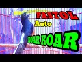 Download Lagu PANCINGAN MURAI PASTOL CEPAT BONGKAR ISIAN