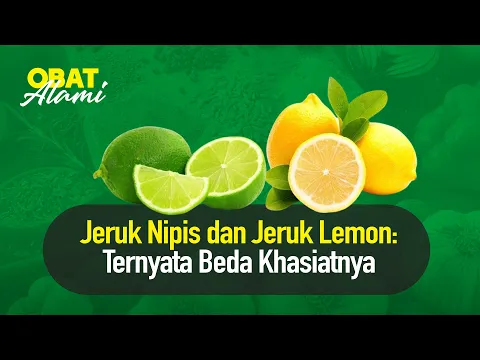 Jeruk Lemon vs Jeruk Nipis Lebih Sehat Mana?