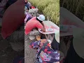 Download Lagu Meja makan unik#shorts #viralvideo #likeandsubscribe