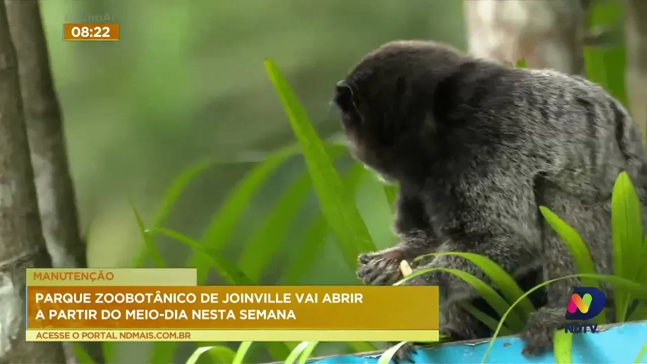 Parque Zoobotânico de Joinville vai abrir a partir do meio-dia nesta semana