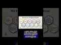 Day 6 Learnig Different Types Of String in Javascript