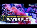 Download Lagu How to choose powerheads and get flow right the first time. Saltwater Aquarium Flow