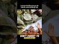 Download Lagu He Trapped a 5000-Year-Old Genie in a Bottle and Got 3 Insane Wishes! 🤯 #shorts
