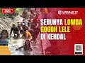 Download Lagu SERUNYA LOMBA GOGOH LELE TANGKAP IKAN LELE PAKAI TANGAN KOSONG DI KENDAL | LINGKAR PAGI