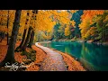 Lagu Herfstsereniteit đ Kalmeer je geest in de natuur met ontspannende pianomuziek