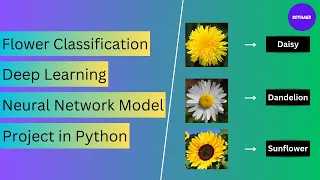 Flower Classification Project in Python Deep Learning Neural Network Model Project in Python