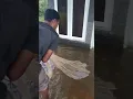 Download Lagu BANJIR || JALA IKAN DEPAN PINTU #shorts