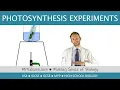 Photosynthesis Experiments starch leaf and pond weed - GCSE Biology 9-1