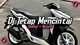 Dj Tetap Mencintai ( Slowed \u0026 Reverd )🎧