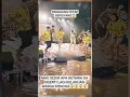 Download Lagu TETEP GOYANG MESKI PANGGUNG BERGOYANG😱#fypシ#fyp#viral#goyang#dangdut#banjir#trending#beritaterkini