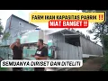 Download Lagu GREBEK FARM KAPASITAS PABRIK IKAN ASAL AMAZONE UNTUK PASAR EROPA - LUAR BIASA PELELOLAAN AIR BAKUNYA
