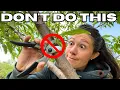 You re Probably Killing Your Fruit Trees