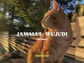 Download Lagu Jamalul Wajudi | Speed Up نشید ❤️ Mohammad Al Muqit