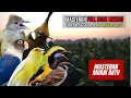 Download Lagu MASTERAN MURAI BATU FULL ISIAN TEMBAKAN MEWAH