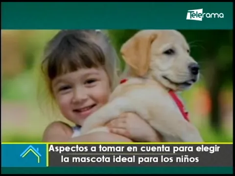 Aspectos a tomar en cuenta para elegir la mascota ideal para los niños