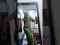 Download Lagu mero raja kamal ko fool#dance #viral #trending #ytshorts #shortvideo