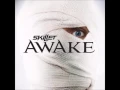 Download Lagu Skillet - Believe