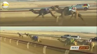 الشوط 5 العابر لـ فرج علي بن حمودة الظاهري تأهيل الوثبة 2019 2 01 ثنايا  الشوط 5 العابر لـ فرج علي بن حمودة الظاهري تأهيل الوثبة 2019 2 01 ثنايا