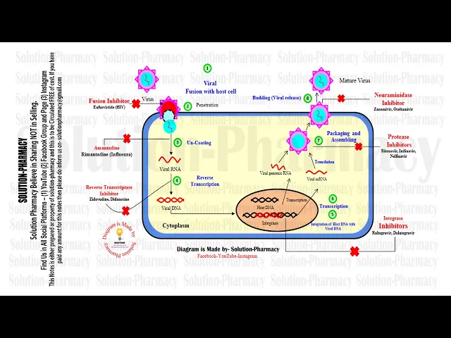 Microbiology 85 = Virus (04) = Reproduction of Virus | Replication Cycle | MOA of Antiviral Drugs