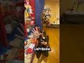 CRAZY build a bear shopping spree with AnnaandErin