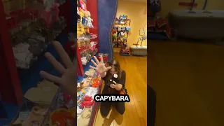 CRAZY build a bear shopping spree with AnnaandErin